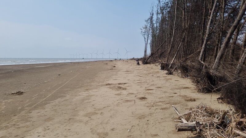 Hàng chục hoa màu, vùng nuôi thủy sản tại TX Duyên Hải, tỉnh Trà Vinh bị sạt lở làm ảnh hưởng. Ảnh: Hoàng Lộc