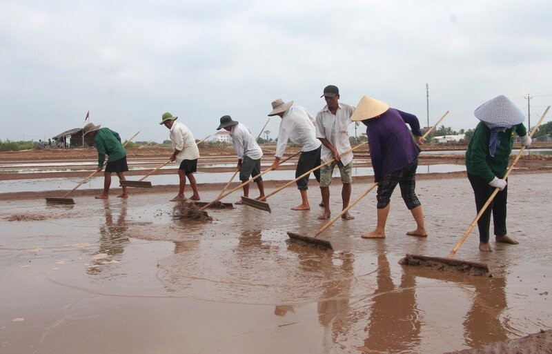 Khâu làm đất là một trong những khâu quan trọng của nghề làm muối theo kiểu truyền thống. Cách đây 10 năm chủ ruộng muối phải huy động rất đông nhân công để cải tạo đất.