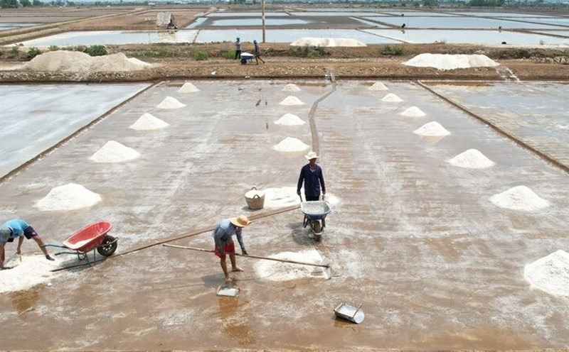 Nắng tốt, diêm dân tỉnh Bạc Liêu thu hoạch những đợt muối đầu tiên của năm 2024