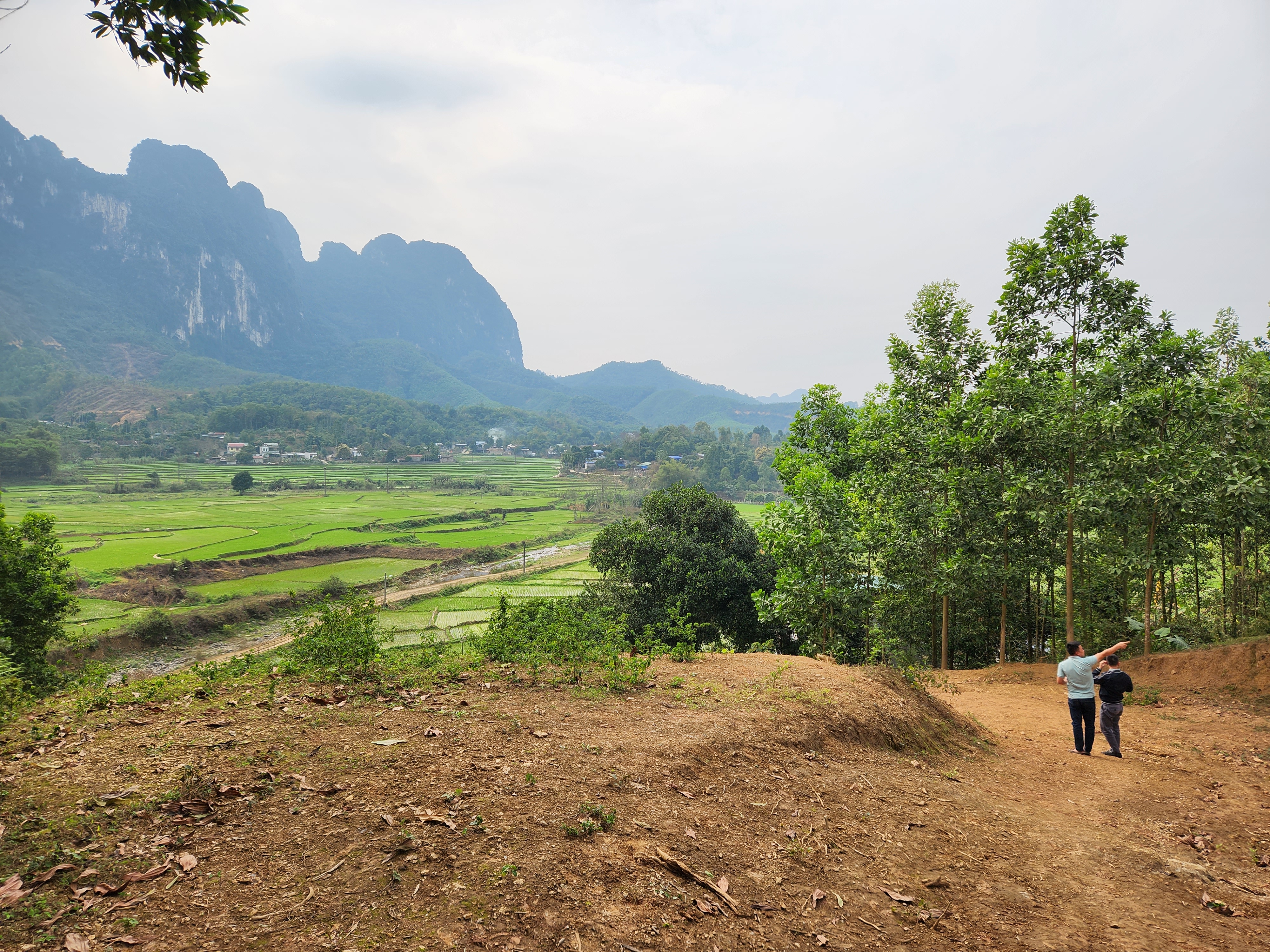 Người mua, khách hàng cần cẩn trọng với những chiêu trò của môi giới. Ảnh: Cao Nguyên