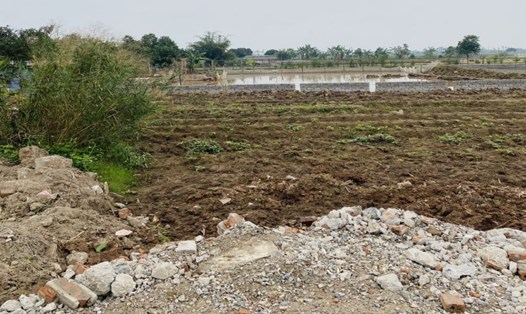 Các cá nhân tự ý san lấp đất vẫn đang trồng lúa để xây dựng bờ bao, tập kết vật liệu xây dựng tại xóm Nam, thôn Tràng (xã An Tràng, huyện Quỳnh Phụ). Ảnh: Nam Hồng