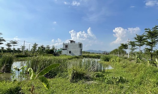 Nhiều khu đất ở tại Ninh Bình đã đấu giá thành công nhưng không có người ở. Ảnh: Nguyễn Trường