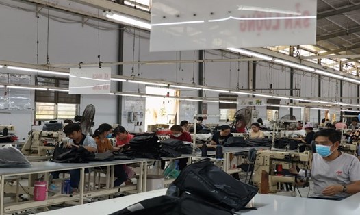 Công ty gặp nhiều khó khăn trong đơn hàng sản xuất nhưng vẫn tham gia BHXH cho 39 lao động đang làm việc. Ảnh: Hoàng Lộc