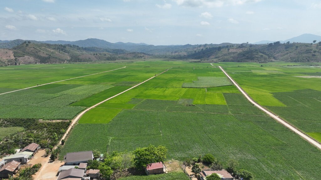 Nhờ chủ động khắc phục điểm yếu ở các trạm bơm nên ruộng đồng ở xã Ea Rbin không bị thiếu nước tưới trong mùa khô. Ảnh: Phan Tuấn