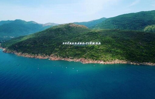 Ảnh: Trang TTĐT Bình Định