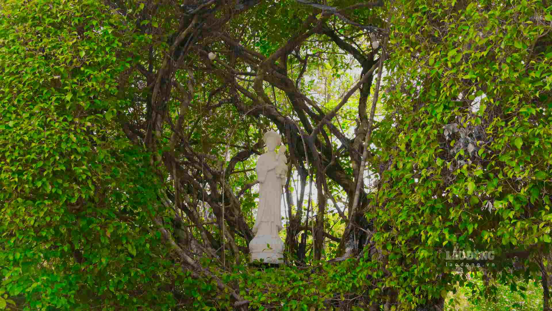 Phía bên trong sân vườn có tượng Đức Mẹ bế Chúa Hài Đồng bao phủ bởi cây cối được uốn tạo hình vòm.