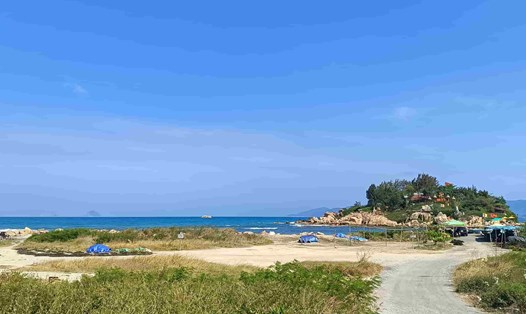 Các cơ quan tham mưu đề xuất vị trí xây dựng bảo tàng tại khu vực đất do Công ty Cổ phần Nha Trang Sao (cũ). Ảnh: Hữu Long