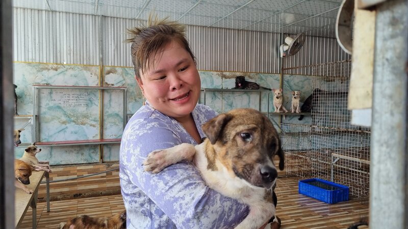 Chị Lê Thị Bích Trâm yêu những chú chó hoang như 1 thành viên trong gia đình mình. Ảnh: Hoàng Lộc