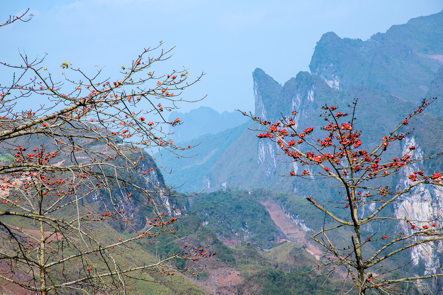 Cảnh đẹp tháng 3 ở Hà Giang. Ảnh: Phạm Hưởng.