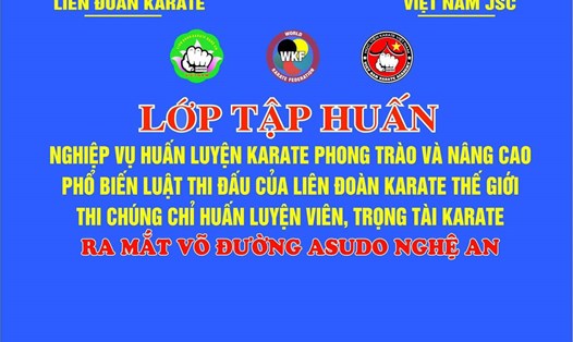 Liên đoàn Karate Nghệ An thể hiện là đơn vị trực thuộc UBND tỉnh Nghệ An trên phông nền sự kiện. Ảnh: Quang Đại 