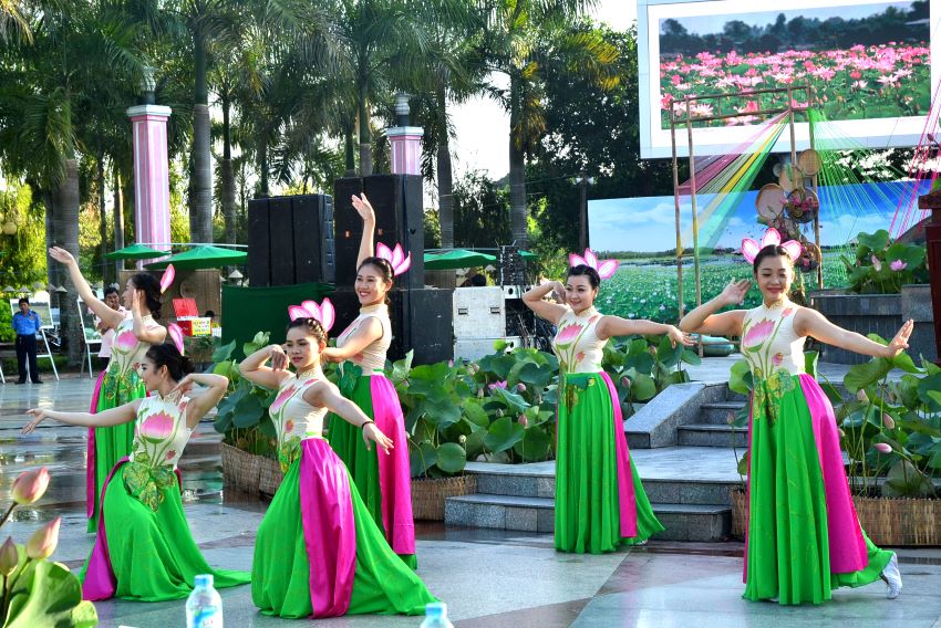 Biểu diễn văn nghệ chủ đề Sen hồng Đồng Tháp. Ảnh: Thanh Mai