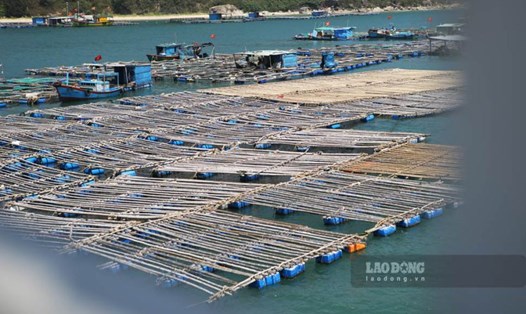 Tình trạng nuôi thủy sản tự phát sẽ làm gia tăng lượng rác, chất thải đổ ra biển, nguy cơ gây ô nhiễm môi trường biển. Ảnh: Hoài Luân