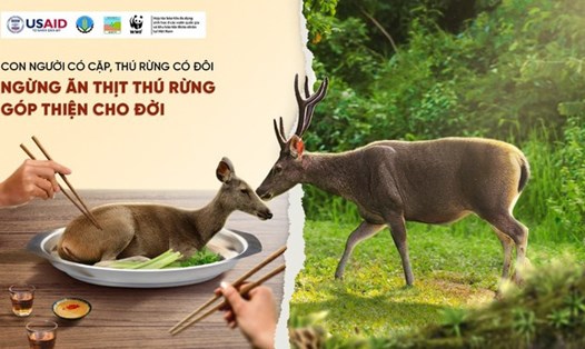 Phát động chiến dịch giảm tiêu thụ thịt thú hoang dã để bảo tồn thiên nhiên. Ảnh: WWF - Việt Nam