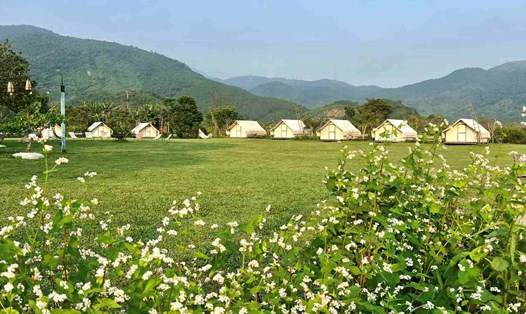 Du lịch trên đất nông nghiệp được nhiều hộ dân huyện Hòa Vang, Đà Nẵng khai thác hiệu quả. Ảnh: An Thượng