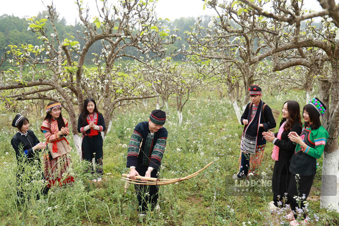  Đến với nơi đây, du khách sẽ được hòa mình vào thiên nhiên, hóa thành chàng trai, thiếu nữ dân tộc H’Mông bên những cây hoa lê đua nhau khoe sắc. 