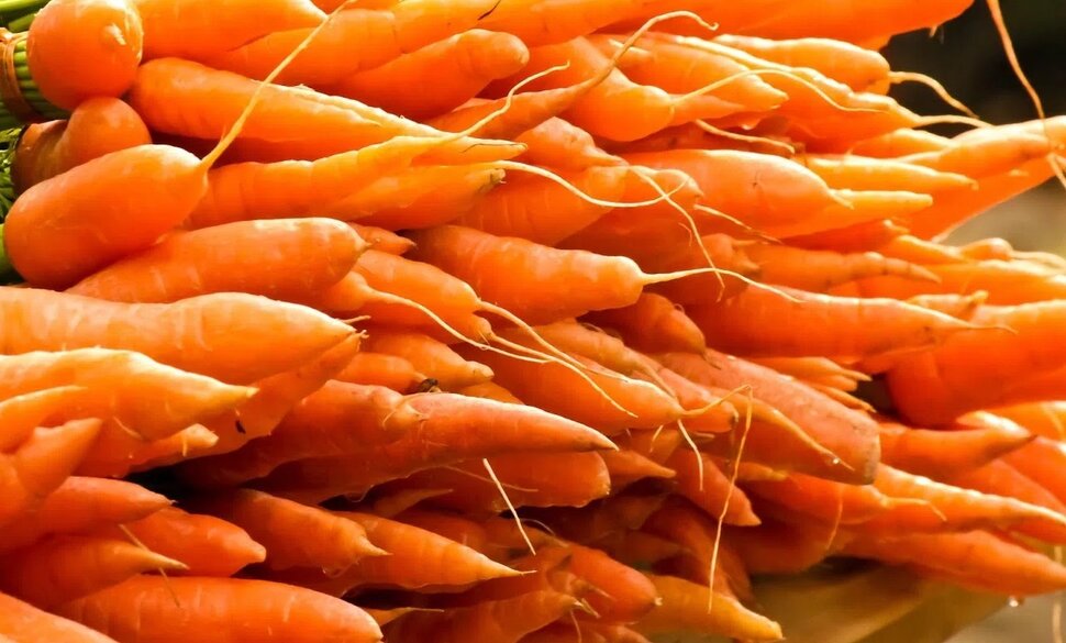 Khi thèm ăn khuya, có thể chọn cà rốt để không ảnh hưởng mục tiêu giảm cân. Ảnh: Phạm My