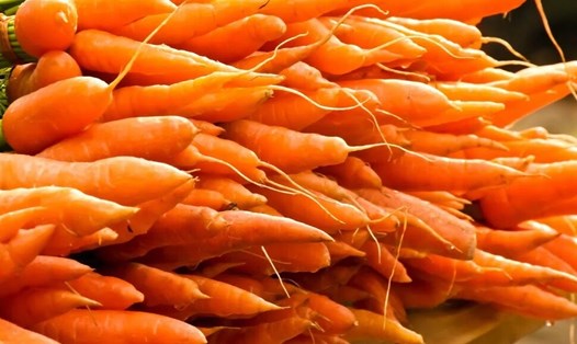 Khi thèm ăn khuya, có thể chọn cà rốt để không ảnh hưởng mục tiêu giảm cân. Ảnh: Phạm My