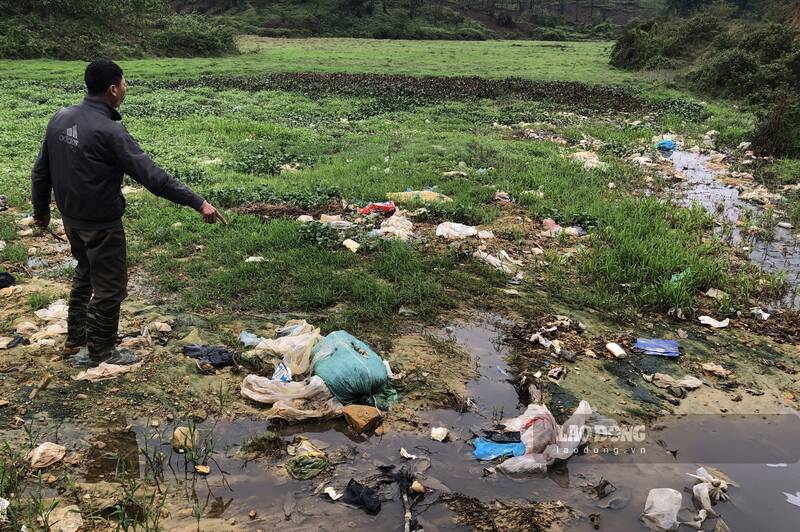 Nước thải từ Khu liên hợp xử lý rác thải Sông Công theo đường cống chảy ra đồng ruộng của người dân. Ảnh: Việt Bắc.