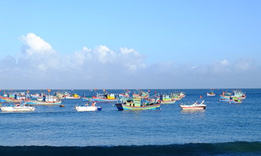 Thuyền đánh cá trên bờ biển ở làng chài Nhơn Lý. 