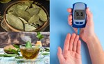 Học nhanh cách pha trà nguyệt quế giúp cải thiện bệnh tiểu đường