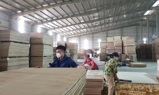 Gần 100 doanh nghiệp tại tỉnh Cao Bằng đang chậm đóng BHXH gây ảnh hưởng trực tiếp đến quyền lợi người lao động vùng biên. Ảnh: Tân Văn