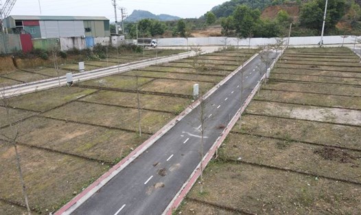 75 thửa đất tại thị xã Sơn Tây, huyện Chương Mỹ (Hà Nội) sắp được đấu giá. Ảnh minh họa: Cao Nguyên 