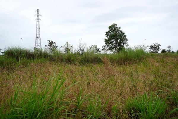 Khu dân cư kiểu mẫu ở Quảng Ngãi sau 9 năm triển khai thành... bãi cỏ hoang