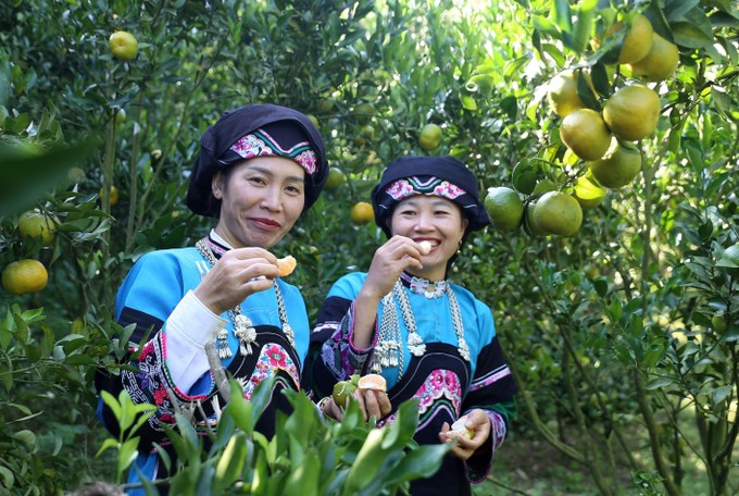 Tỉnh biên giới vùng cao Lào Cai có 25 nhóm ngành dân tộc. Ảnh trang phục cộng đồng dân tộc ít người Bố Y.