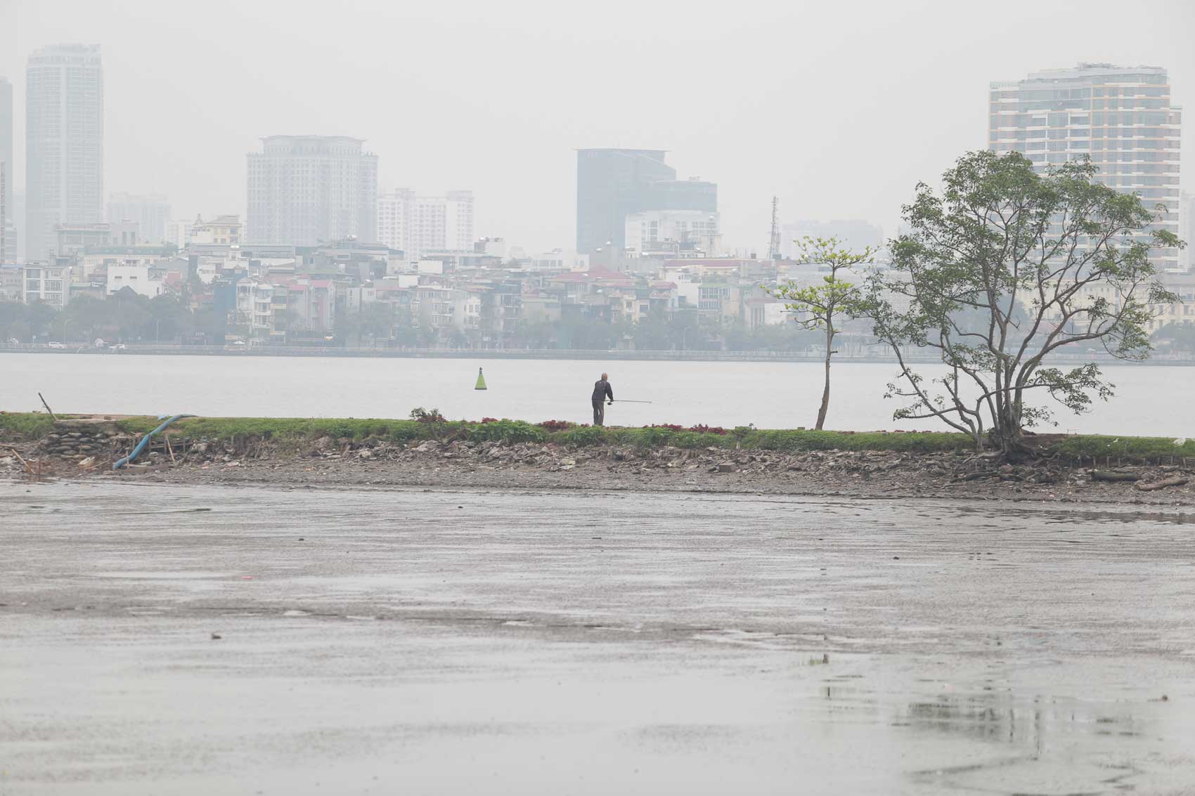 Tại hồ Thủy Sứ,  chết nhiều khiến tình trạng ô nhiễm càng trở nên nghiêm trọng.