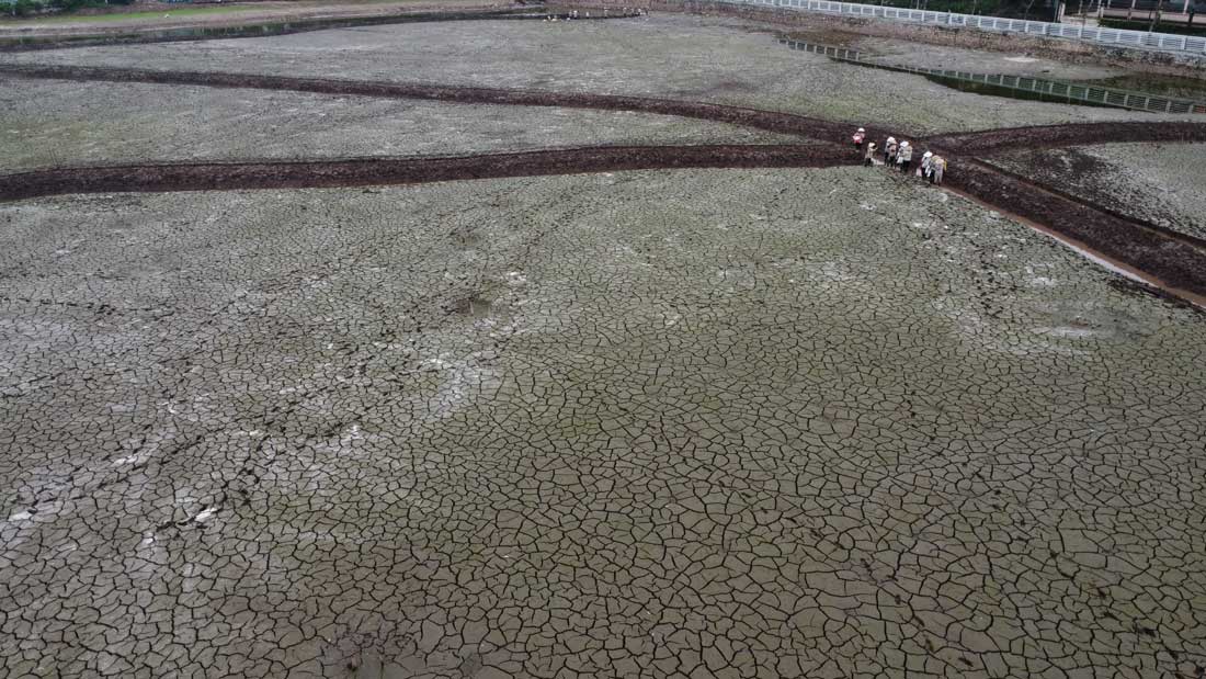 Hình ảnh Đầm Đông cạn nước trơ đáy cạn khô. Ảnh: Vĩnh Hoàng