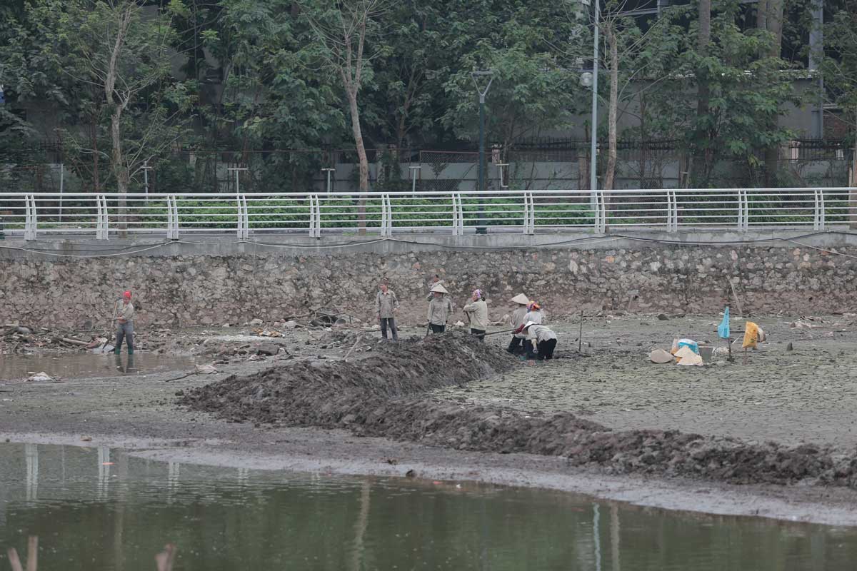 Su khi rút cạn nước, một số công nhân đang tiến hành xử lý nền đất.