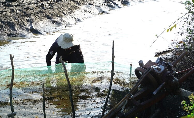 Sau mùa lúa, nước mặn về người dân sên mương chuẩn bị bơm nước mặn vào để nuôi tôm. Ảnh: Nhật Hồ