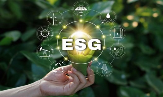 Việc áp dụng thực hành ESG hiện nay tại doanh nghiệp Việt Nam đang dần rõ nét và hiệu quả hơn. Đồ họa: Đức Mạnh