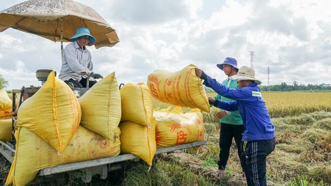 Nông dân thời 4.0 thu hoạch xong lúa, tiền sẽ chuyển vào tài khoản