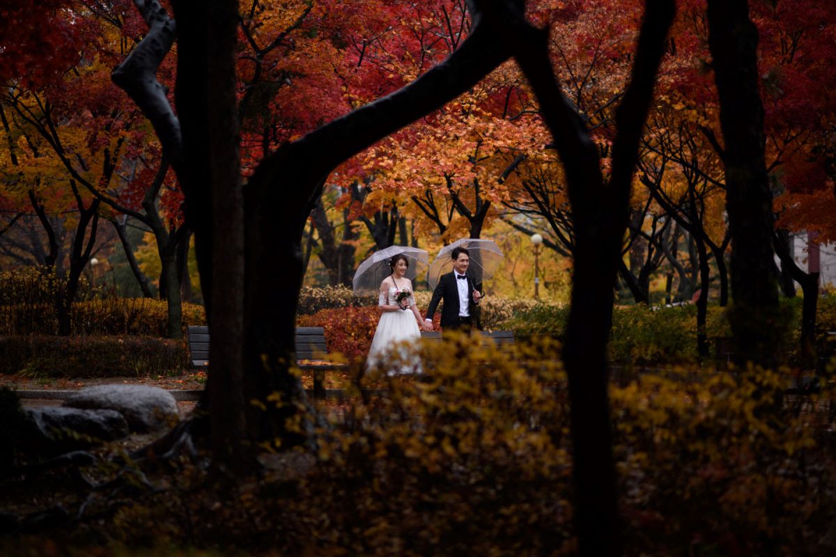 Cặp đôi chụp ảnh cưới trong công viên ở Seoul, Hàn Quốc. Ảnh: AFP