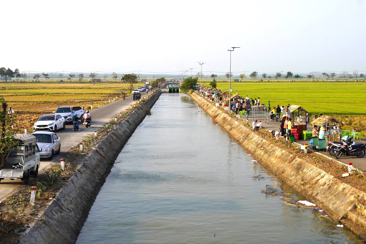 Mô hình khu ẩm thực bên cánh đồng lúa nhằm tạo sinh kế cho người khó khăn vừa được cho phép hoạt động trở lại ở vị trí mới phù hợp. Ảnh: Thành An