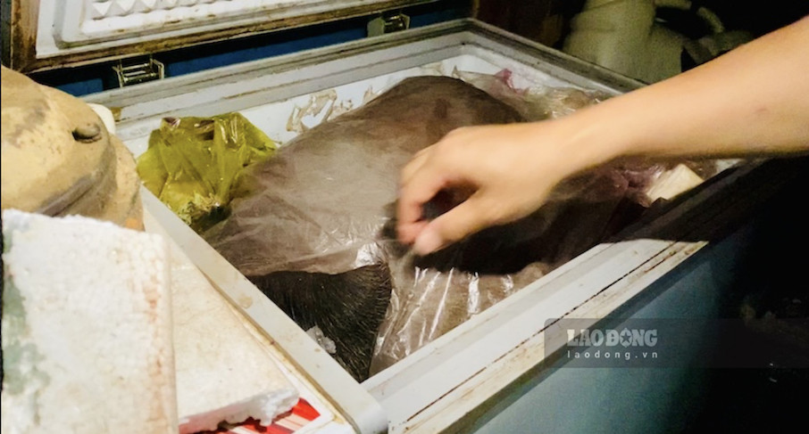 Xác con nai rừng nặng hơn 50kg bọc trong nilon, nằm chật kín chiếc tủ đông. Ảnh: PV Lao Động