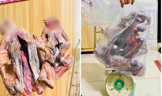 2 cá thể khỉ bị làm thịt, cấp đông trong nhà của H ở Krông Bông. Ảnh: Nhóm phóng viên