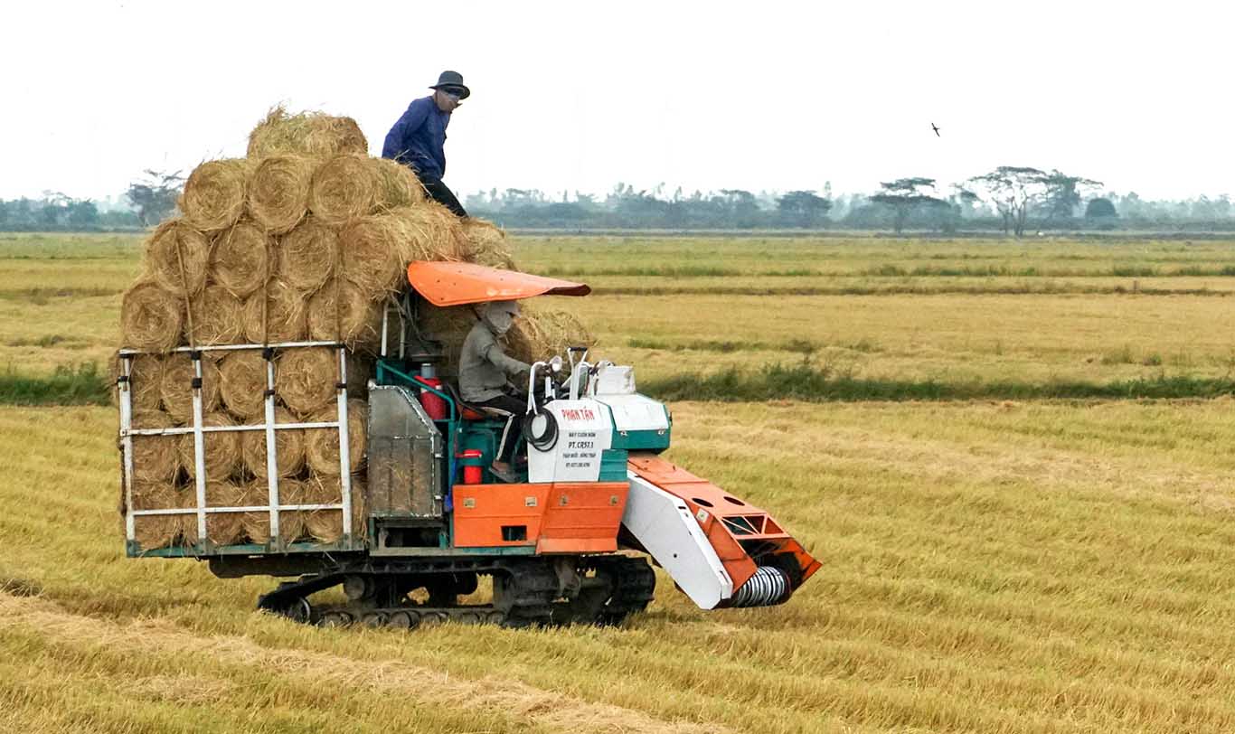 Những chiếc máy cuộn rơm cũng đã giúp nông dân có thêm thu nhập từ phế phẩm trong canh tác lúa.