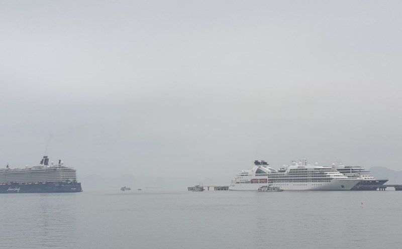 3 siêu tàu biển tại Cảng tàu khách quốc tế Hạ Long, Quảng Ninh chiều 24.3. Ảnh: Nguyễn Hùng