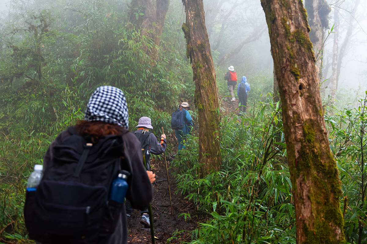 Những năm gần đây, tuyến đường trekking từ thôn Lùng Tao, xã Cao Bồ, huyện Vị Xuyên (cách trung tâm thành phố Hà Giang 30km) thu hút nhiều du khách tới trải nghiệm, chiêm ngưỡng. 