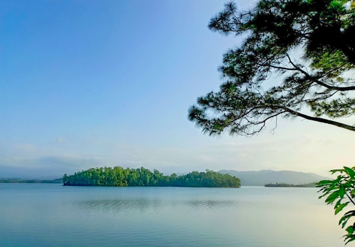 Quảng Nam: Cây cô đơn hút khách check-in hồ Phú Ninh mùa nước cạn