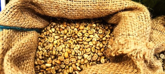 Chất lượng cà phê của Việt Nam ngày càng được nâng cao, đáp ứng nhu cầu của người tiêu dùng toàn cầu. Ảnh: Vũ Long