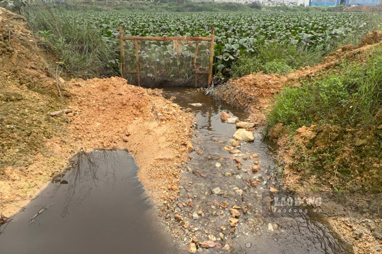 Lớp đất đá ngăn miệng cống bị rửa trôi khiến nước từ ao chảy vào miệng cống, sau đó tràn ra ngoài môi trường. Ảnh: Việt Bắc.