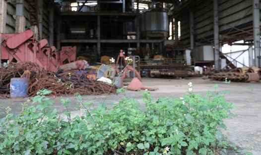 Hòa Bình chấm dứt hoạt động của dự án Nhà máy mía đường Hòa Bình tại xã Tân Mỹ, huyện Lạc Sơn. Ảnh: Minh Chuyên