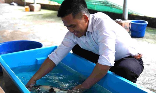 Mạnh dạn theo đuổi đam mê, anh Vũ Văn Quân hiện sở hữu trang trại cá Koi rộng 5ha, cho doanh thu tiền tỉ mỗi năm. Ảnh: Mai Dung