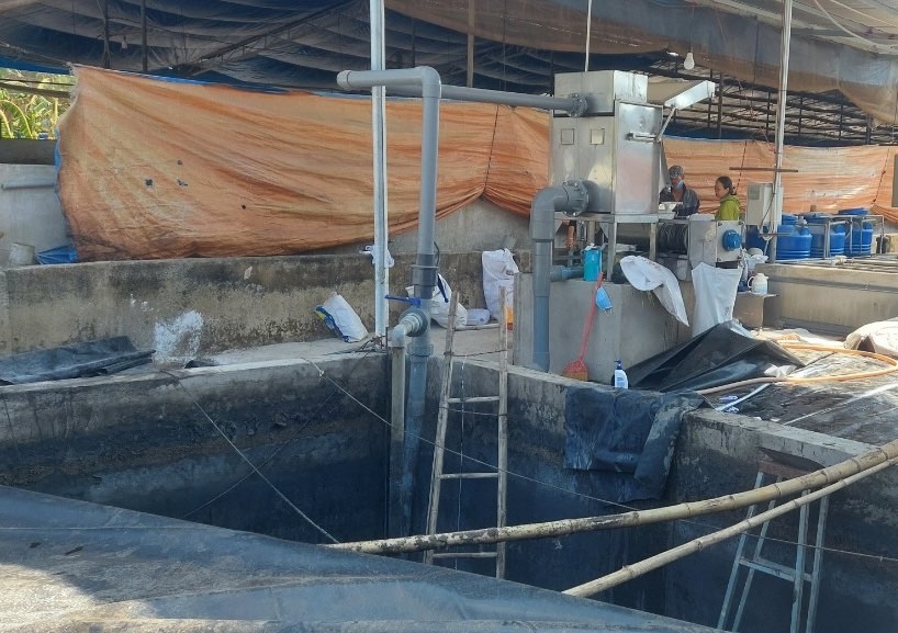 Hiện trường nơi xảy ra vụ việc nghi ngạt khí ga ở trang trại chăn nuôi heo. Ảnh: Tiến Bá