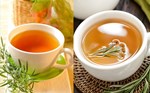 Lợi ích của trà hương thảo trong việc kiểm soát cholesterol