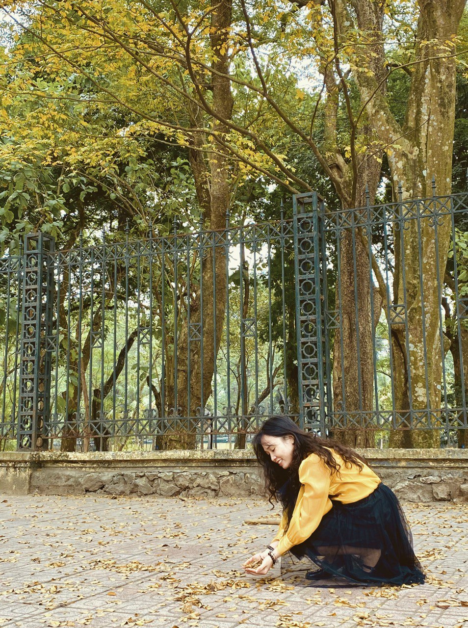 Nữ du khách thích thú tới chụp ảnh với chiếc cây lá vàng ở công viên Bách Thảo, nằm trên đường Hoàng Hoa Thám. Ảnh: Linh Boo