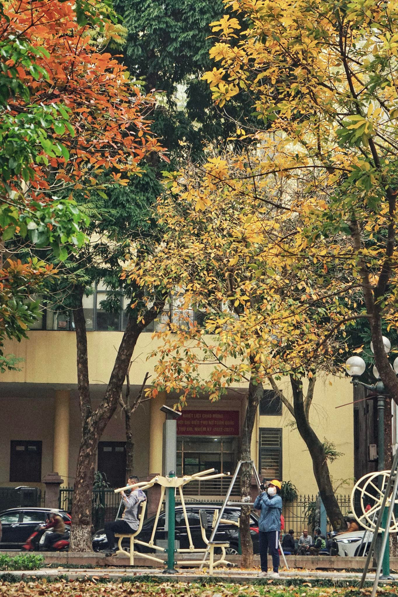  Mùa lá rụng nhanh đến, nhanh đi, nếu muốn lưu lại những bức hình mùa này, bạn nên tranh thủ thời gian dạo quanh phố phường Hà Nội những ngày này. Ảnh: Leotran